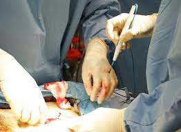 Prostatakrebs Behandlung Operation